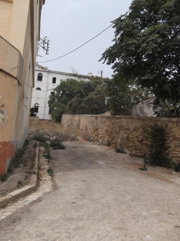 ORAN JUILLET 2012 RUE MONTEBELLO DE BEDJI BADROU (2).jpg